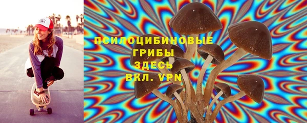 эйфоретик Алзамай
