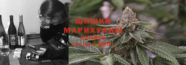 эйфоретик Алзамай